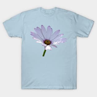 African Daisy T-Shirt